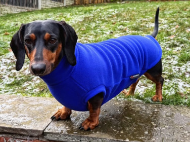Dachsie Sweater, Cobalt Blue Dachsie Sweater, Cobalt Blue