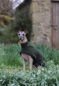 Turtle Neck Coat, Loden Green Turtle Neck Coat, Loden Green