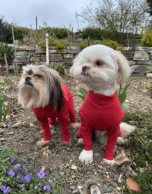 Summer Suit, Red Summer Suit, Red