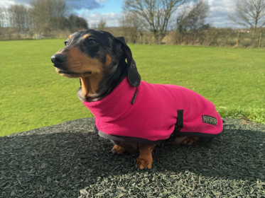 Turtle Neck Coat, Soft Fuchsia Turtle Neck Coat, Soft Fuchsia