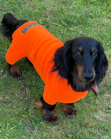 Dachsie Suit, Blaze Orange