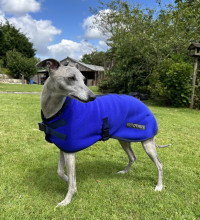 Dog Coat, Cobalt Blue