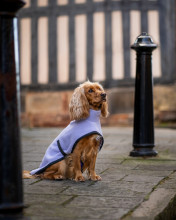 Turtle Neck Coat, Lavender