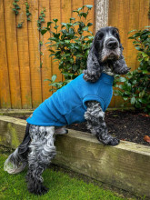 Dog Tank Top, Dark Teal