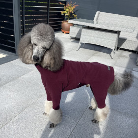 Dog Suit, Mulberry Dog Suit, Mulberry