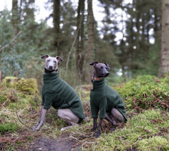 Dog Sweater, Loden Green