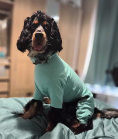 T-Shirt Suit, Mint Green T-Shirt Suit, Mint Green