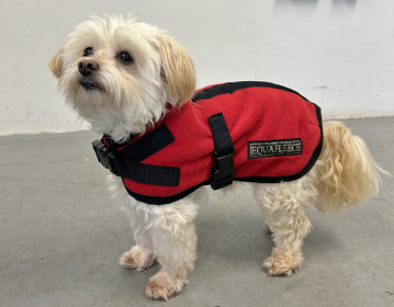 Dog Coat, Red