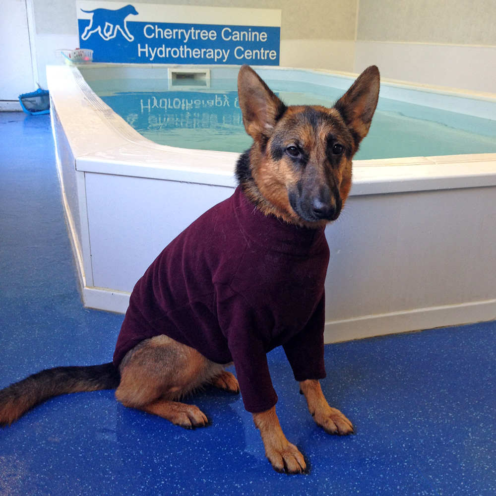 Polartec Fleece Dog Sweater - Rainproof, Breathable, Warm and Washable