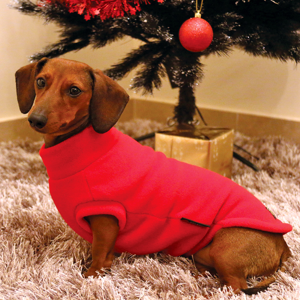 Polartec Fleece Dog Sweater - Rainproof, Breathable, Warm and Washable